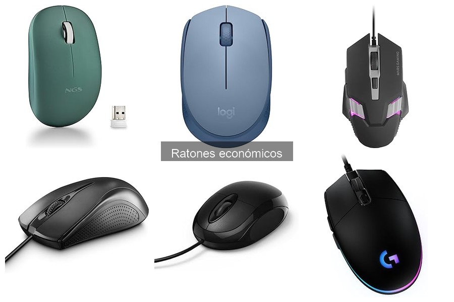 Alternativas al Ratón Económico: Soluciones si No Funciona