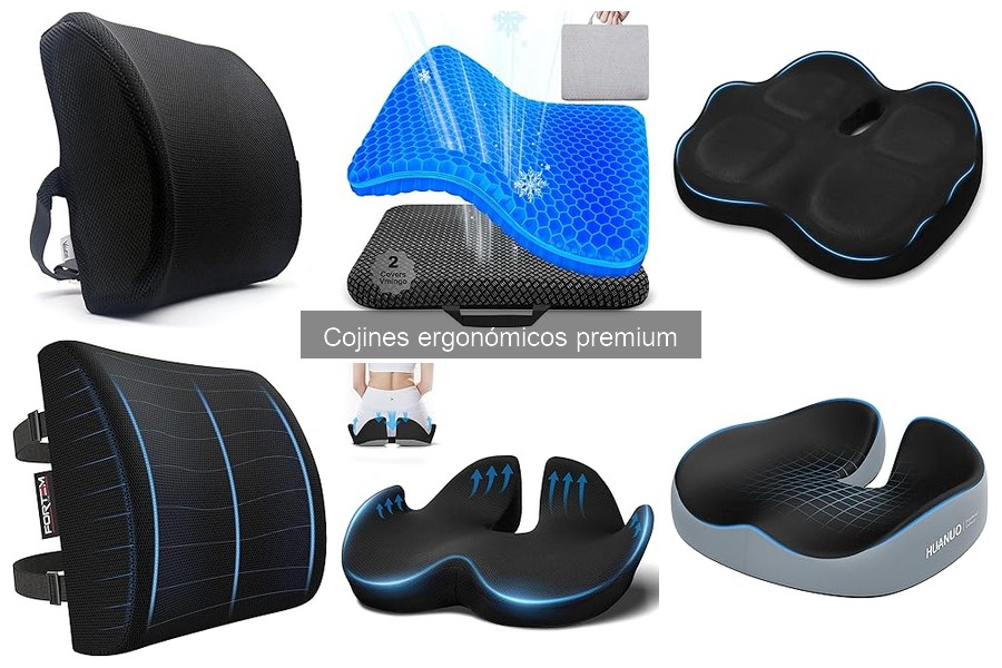 Comparativa: Cojines Ergonómicos Premium vs Estándares
