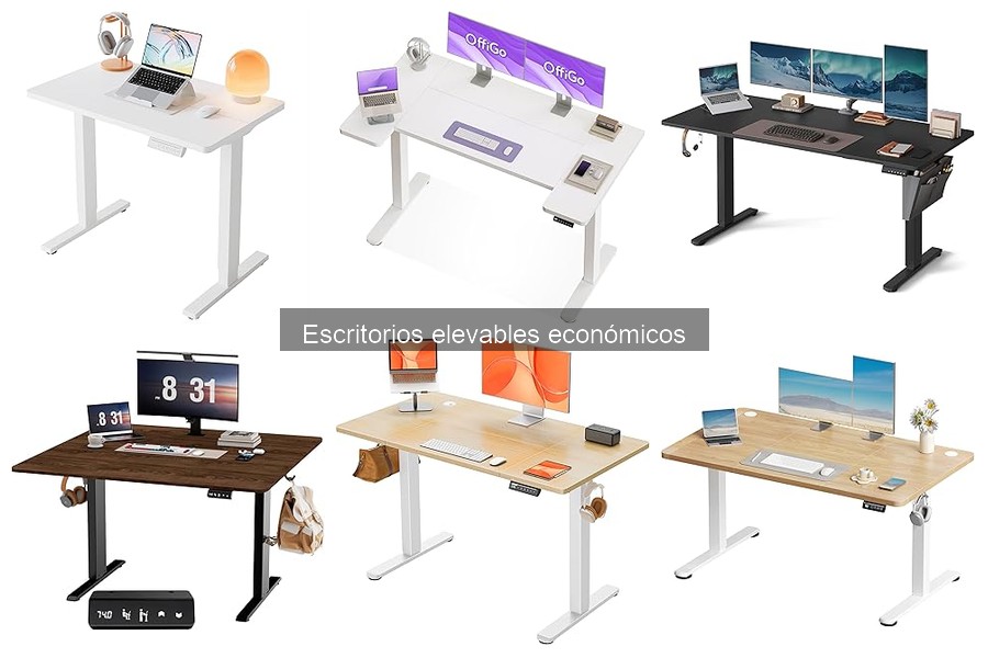Comparativa de Escritorios Elevables: Económicos vs. Gama Alta