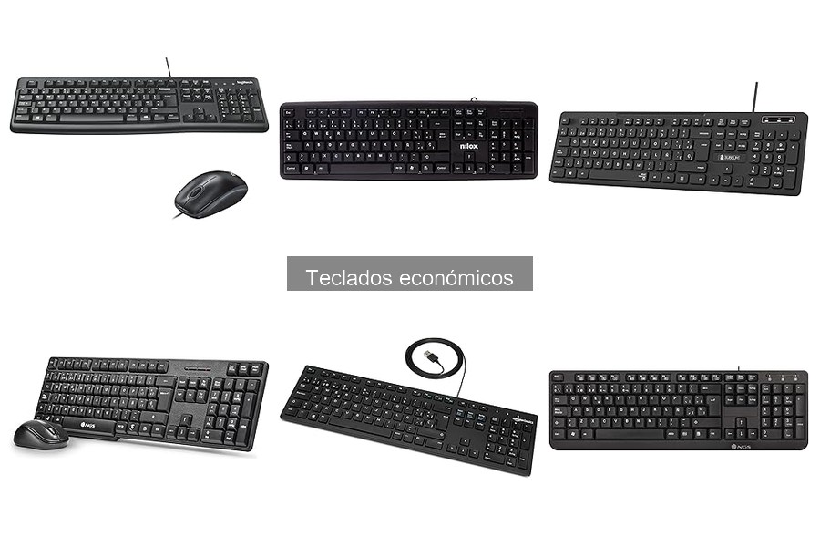 Comparativa: Teclados Económicos vs. Premium para tu Oficina