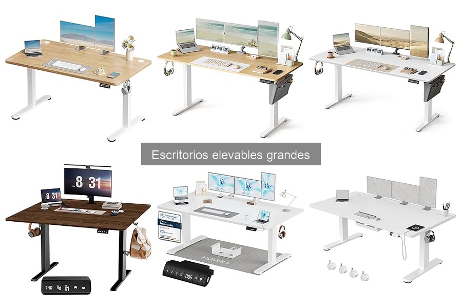 Guía de Compra de Escritorios Elevables Grandes
