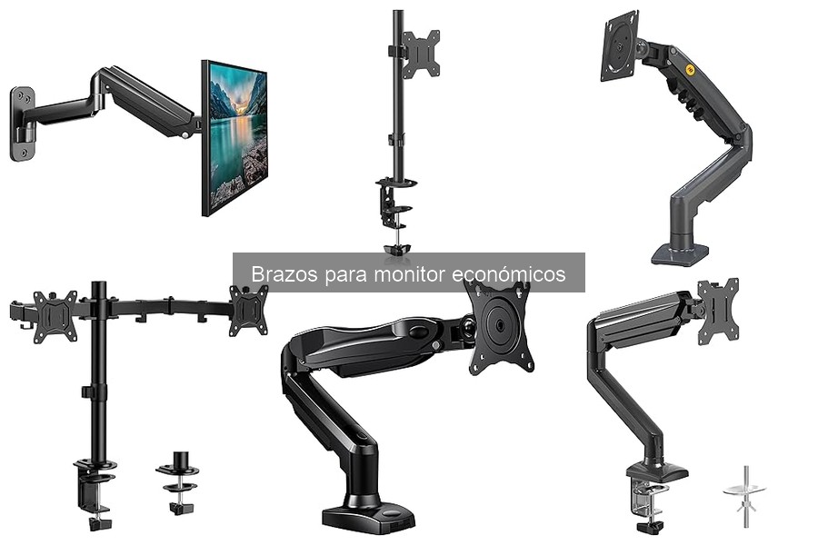 ¿Merece la pena un brazo para monitor económico?