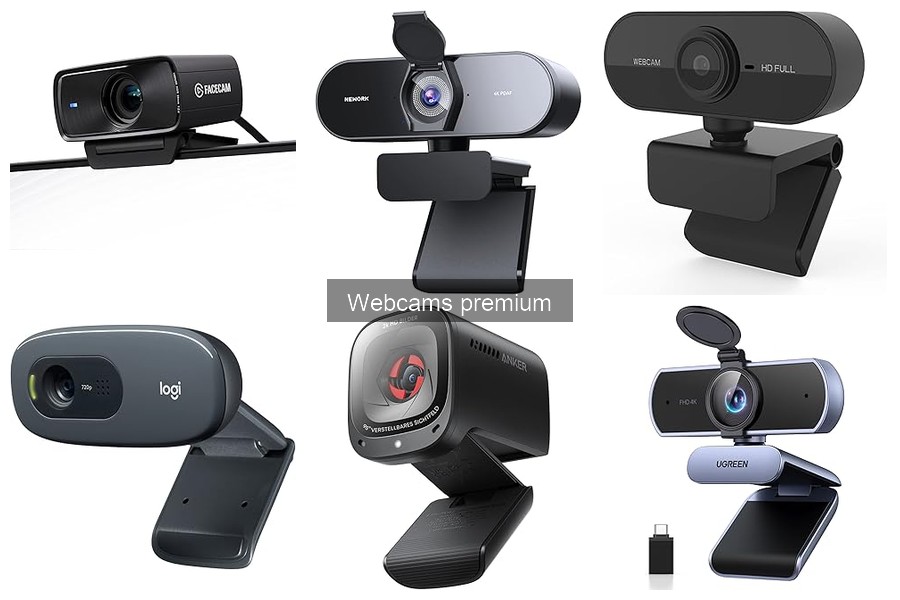 Opiniones sobre webcams premium para profesionales