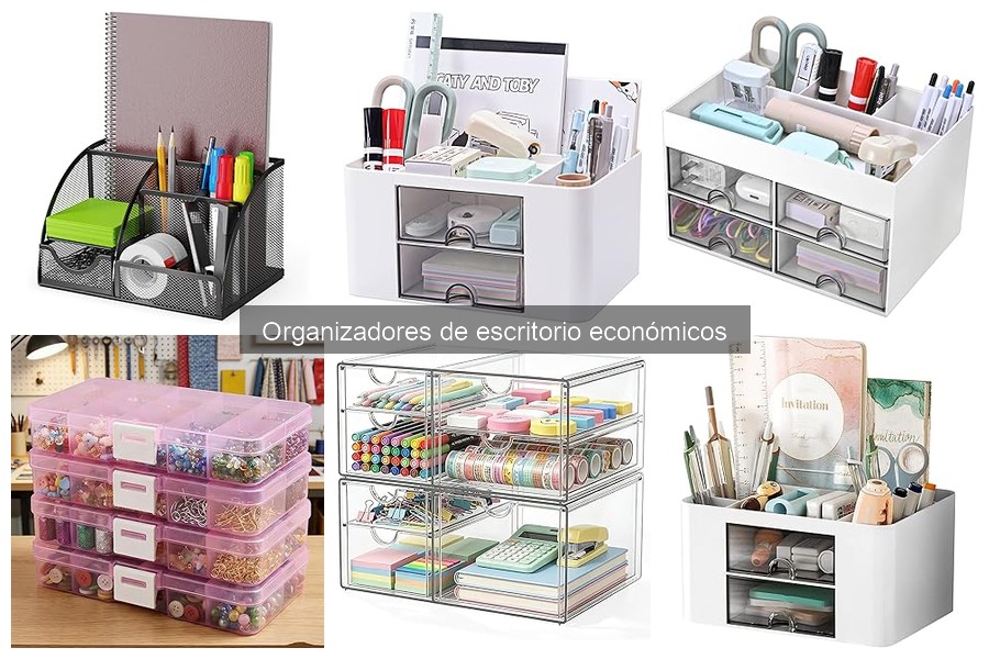 Problemas comunes al usar organizadores de escritorio económicos