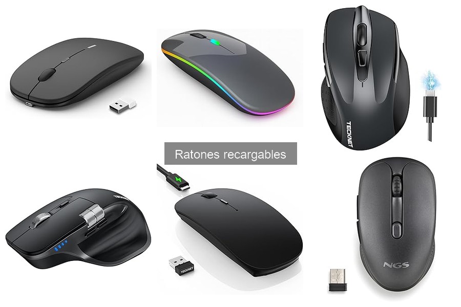 Ratones Recargables para Usuarios con Problemas de Movilidad