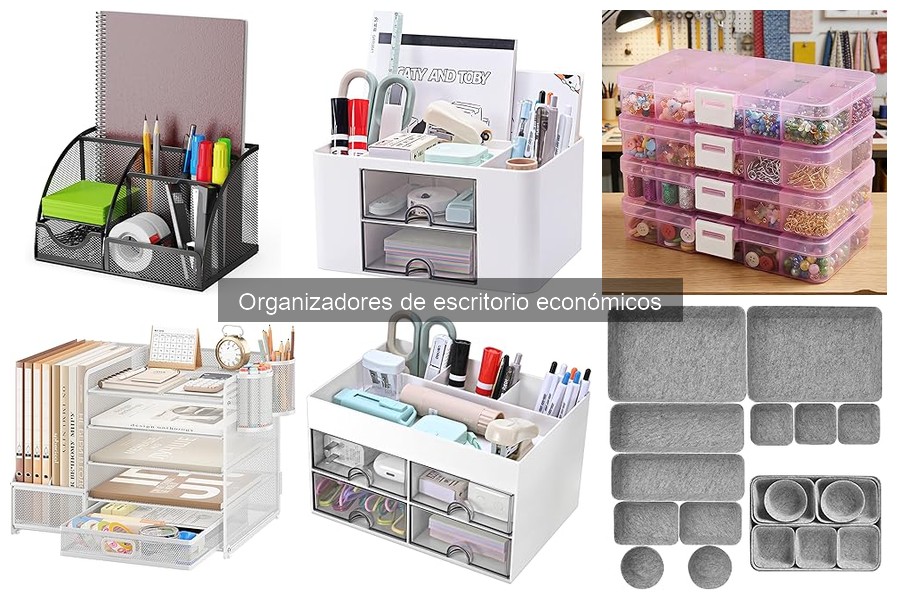 ** Reseñas de organizadores de escritorio económicos que debes conocer