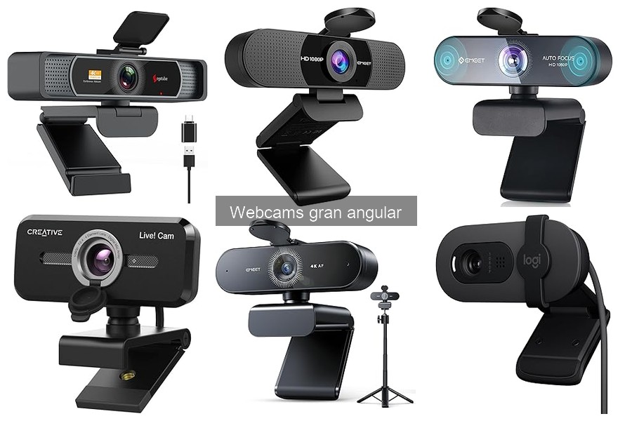 Ventajas y desventajas de las webcams gran angular