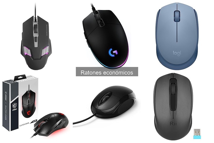 Ventajas y Desventajas de los Ratones Económicos